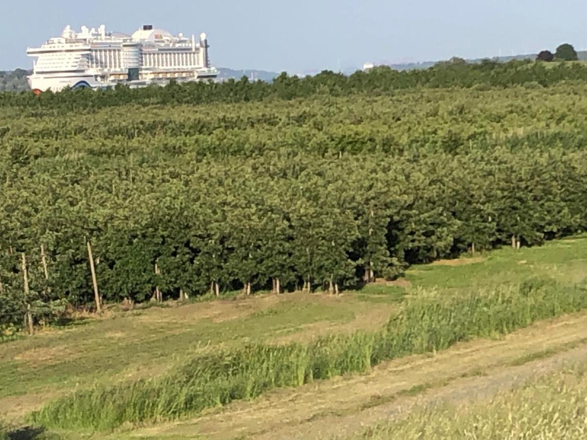 Wohnen Im Alten Land Grünendeich Εξωτερικό φωτογραφία